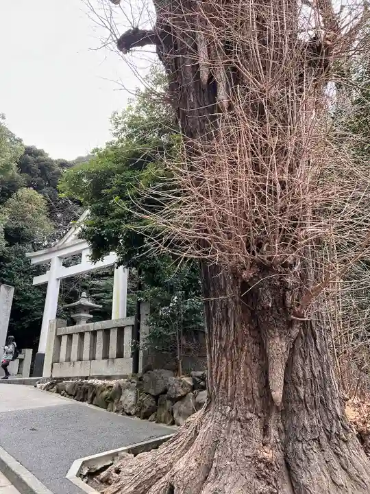 日枝神社のその他建物