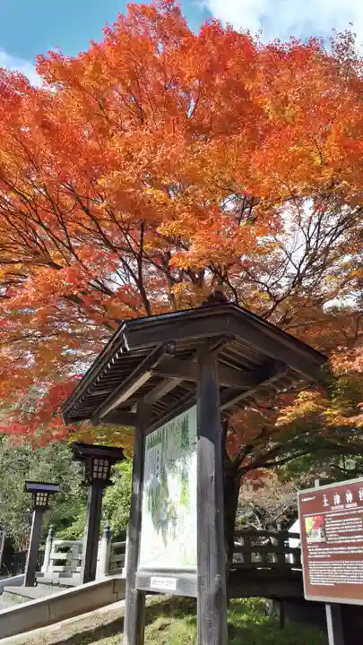 土津神社|こどもと出世の神さまの自然