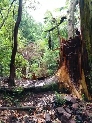 白鳥神社(宮崎県)