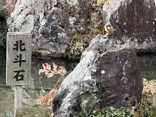 慈照寺（慈照禅寺・銀閣寺）のその他建物