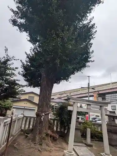 綾瀬神社(東京都)