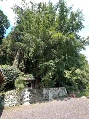 白鳥神社(奈良県)
