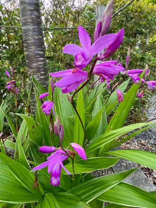 湯神社(岡山県)