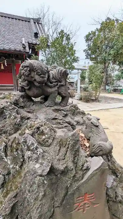 今井神社の狛犬