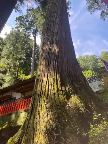 鳳来山東照宮(愛知県)