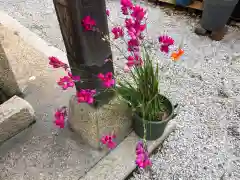 水堂須佐男神社(兵庫県)