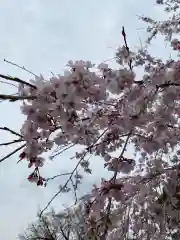 三宝院（三宝院門跡）の自然