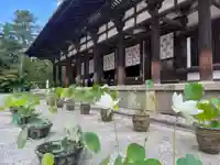 唐招提寺(奈良県)