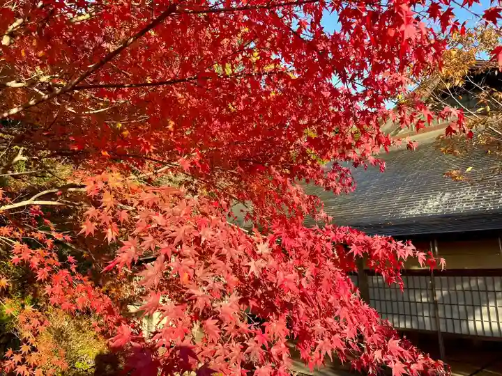 伊勢の国 四天王寺の自然