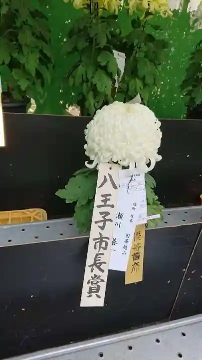 八幡八雲神社のその他建物