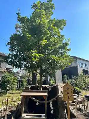 日々神社(神奈川県)
