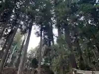 大宮温泉神社(栃木県)