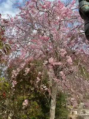 渭信寺(愛知県)