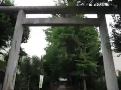 駒込天祖神社の鳥居