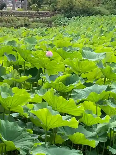 報徳二宮神社の庭園