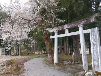 赤城神社(新潟県)