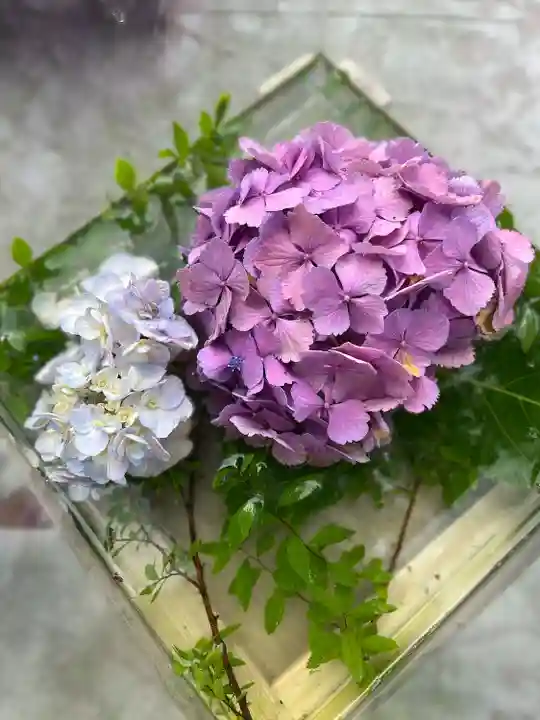 越谷香取神社(埼玉県)