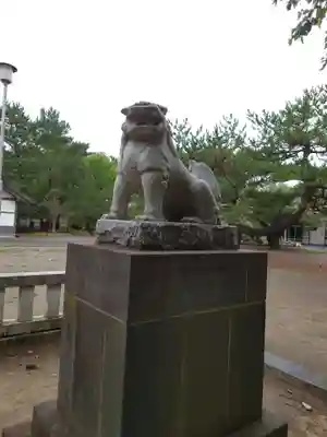 岩内神社の狛犬