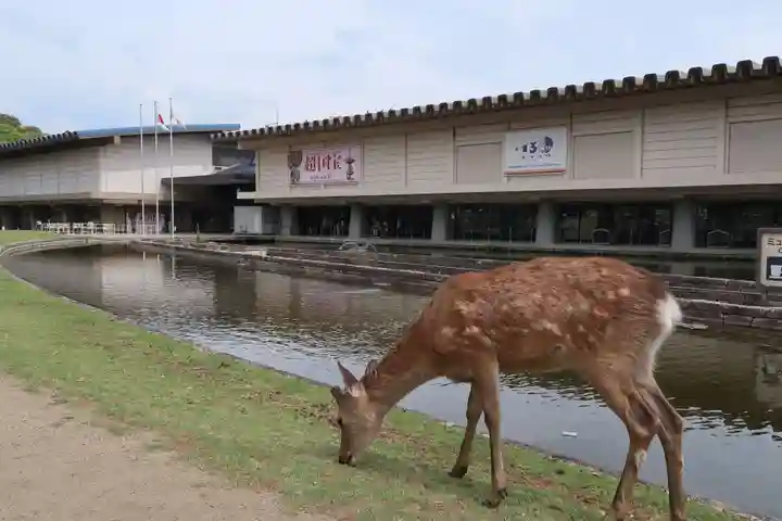 称名寺(奈良県)
