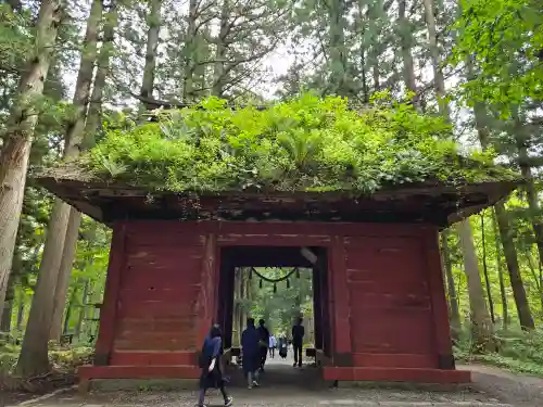 戸隠神社九頭龍社(長野県)