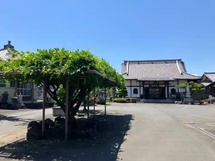 天龍寺(埼玉県)