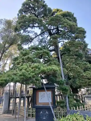 国土安穏寺の{uncategorized: "未分類", other: "その他", undefined: "問題あり", building: "その他建物", grave: "お墓", sacred_gate: "鳥居", guardian: "狛犬", statue: "像", buddha: "仏像", history: "歴史", nature: "自然", garden: "庭園", animal: "動物", pagoda: "塔", temizu: "手水舎", mountain_gate: "山門・神門", sanctuary: "本殿・本堂", subordinate: "末社・摂社", art: "芸術", scenery: "景色", jizo: "地蔵", ema: "絵馬", goshuin: "御朱印", omikuji: "おみくじ", items: "授与品その他", amulet: "お守り", goshuincho: "御朱印帳", eats: "食事", festival: "お祭り", votive_dance: "神楽", shichigosan: "七五三参", wedding: "結婚式", experience: "体験その他", initially: "初詣", around: "周辺", anti_infection: "感染症対策"}