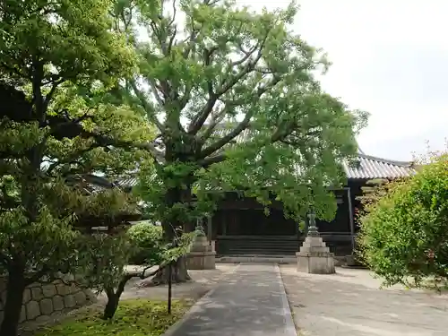 本伝寺のその他建物