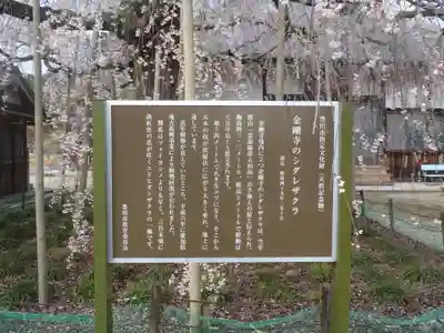 金剛寺(愛知県)