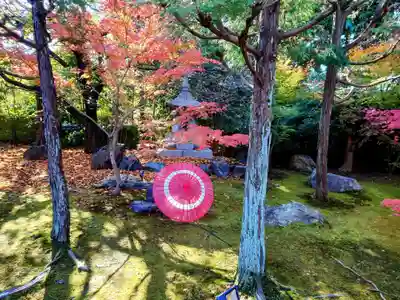 勝林寺(京都府)