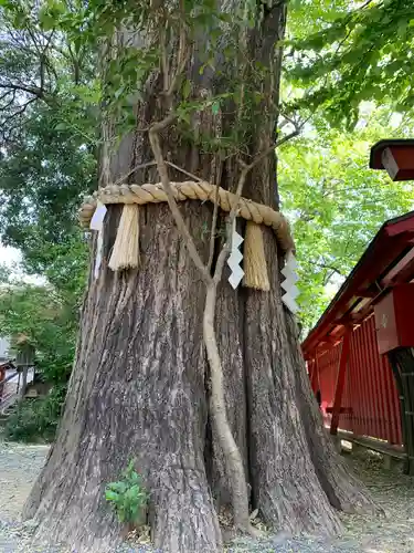 秩父神社の自然