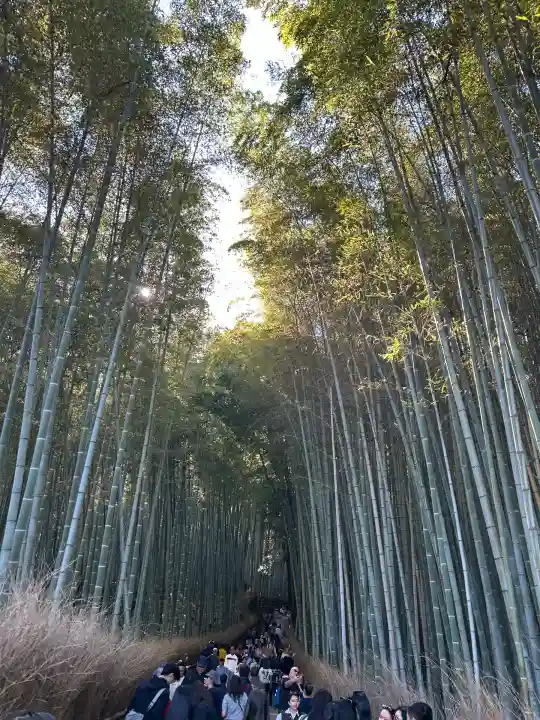 天龍寺(京都府)