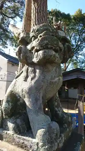 安房神社の狛犬