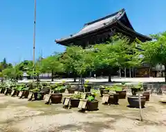 本山専修寺の建物その他