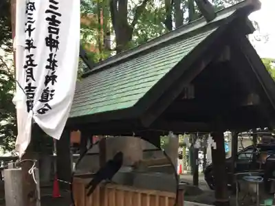 三吉神社の手水舎