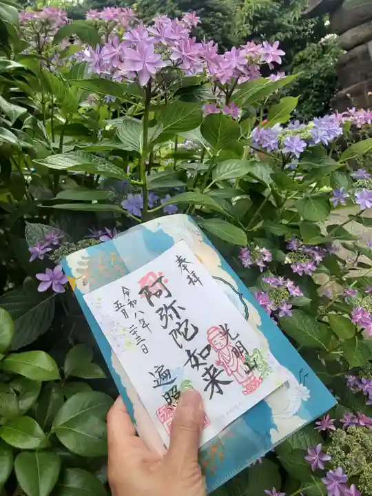 遍照院(東京都)