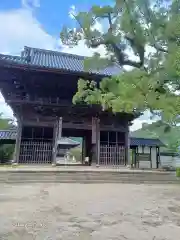 周防国分寺(山口県)