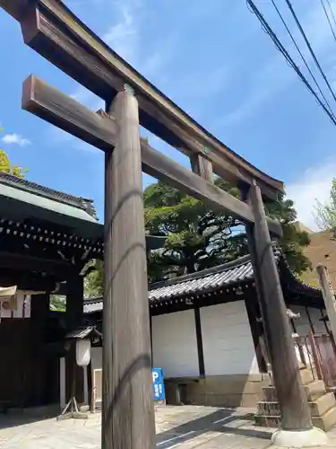 白峯神宮の鳥居