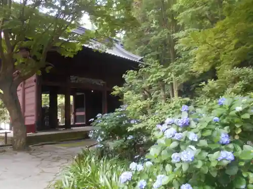 妙本寺の山門・神門