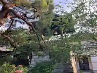 祇陀寺(岩手県)