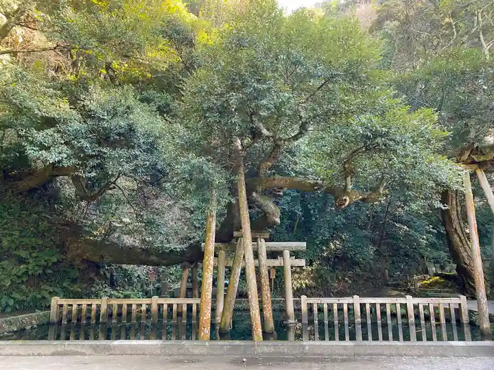 鹿島神宮のその他建物