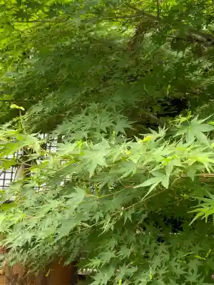 本土寺(千葉県)