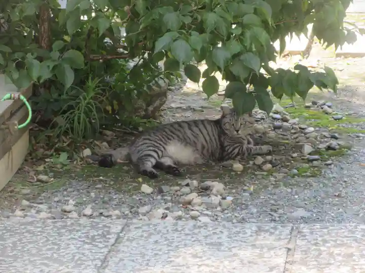 回向院(東京都)