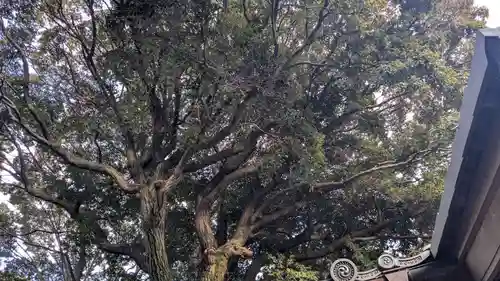 旦椋神社(京都府)