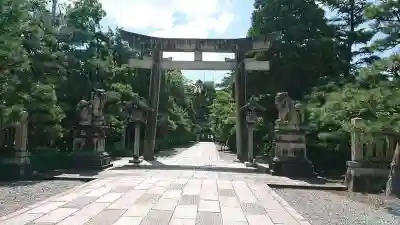 日枝神社の鳥居