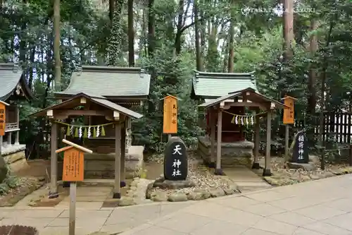 駒木諏訪神社(千葉県)