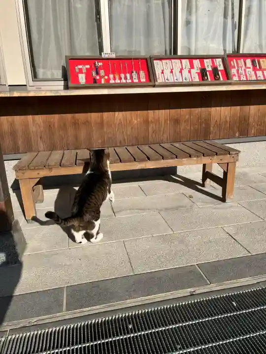 一宮神社(福岡県)