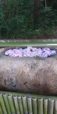 多賀大社の手水舎