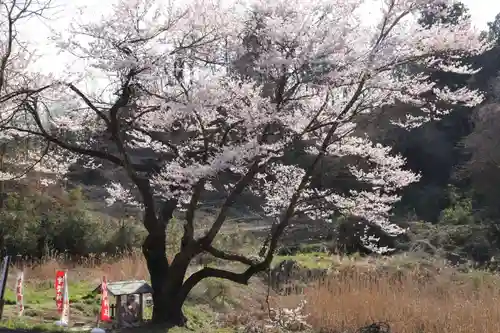 宇賀神さまの景色