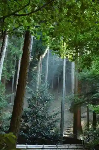 慈照寺（慈照禅寺・銀閣寺）の自然