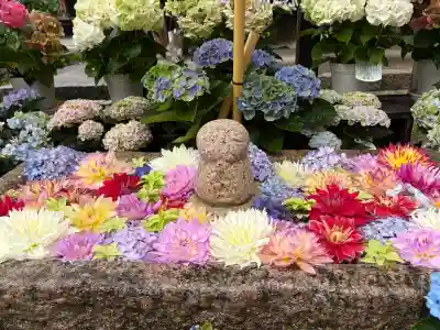 岡寺（龍蓋寺）(奈良県)
